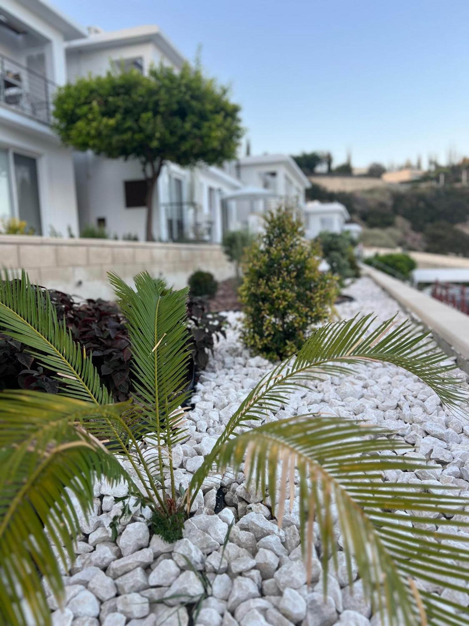 Apartment Image Pissouri